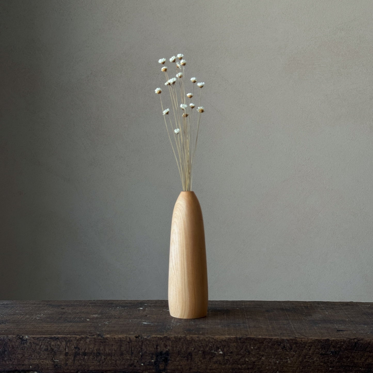 NEW - "In nature nothing is created, nothing is lost; everything is transformed" | Vase