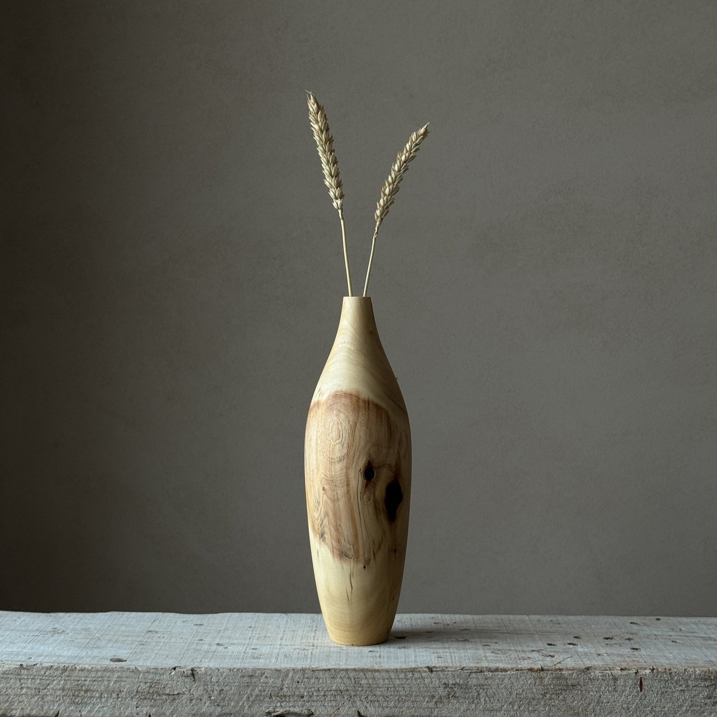 NEW - "In nature nothing is created, nothing is lost; everything is transformed" | Vase
