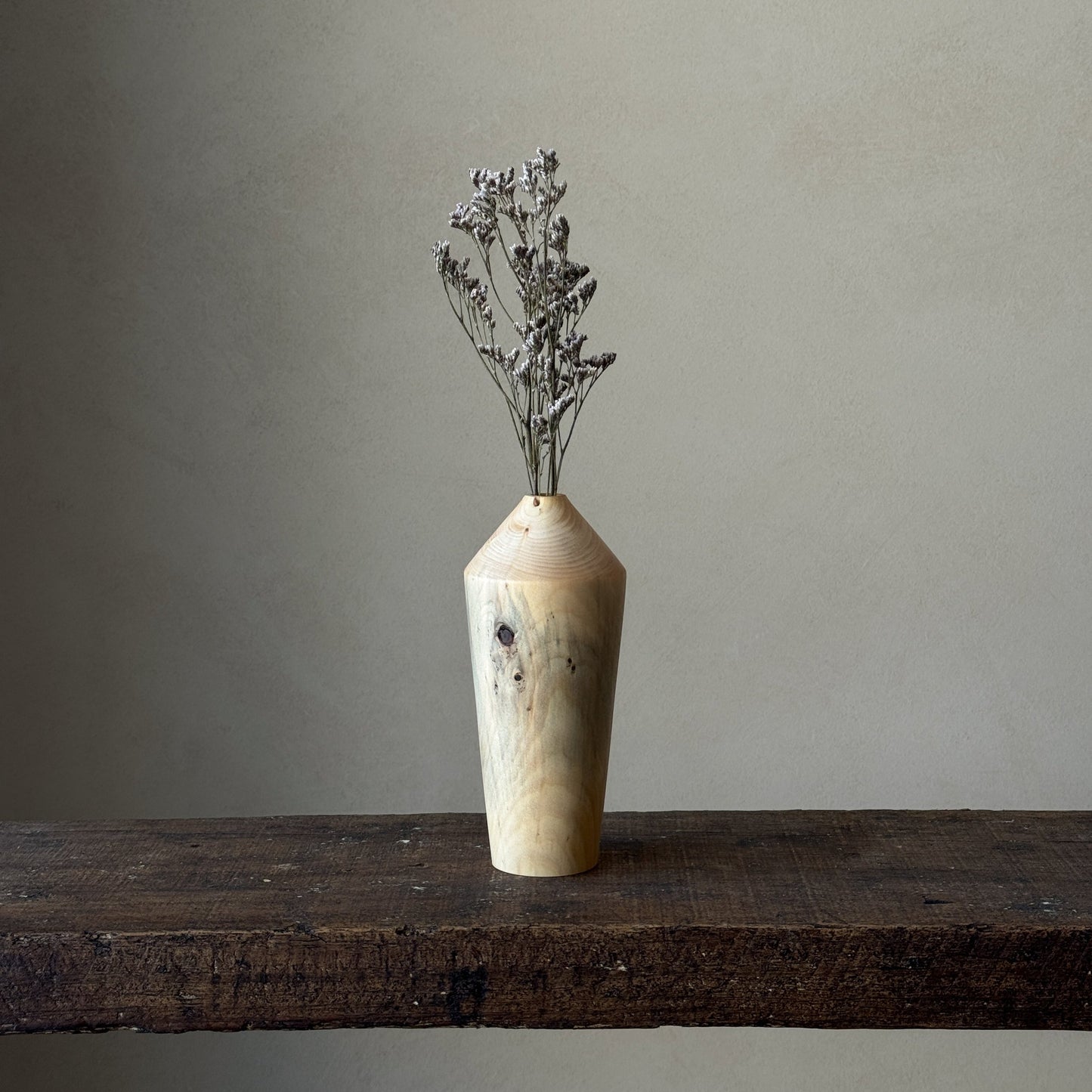 NEW - "In nature nothing is created, nothing is lost; everything is transformed" | Vase