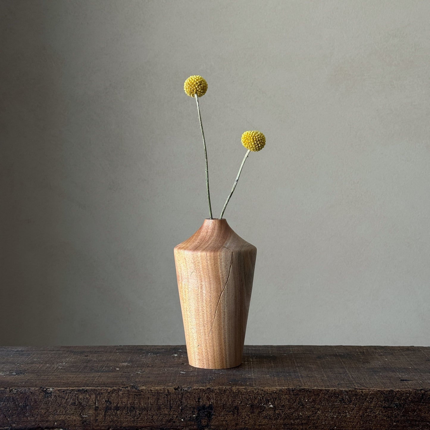 NEW - "In nature nothing is created, nothing is lost; everything is transformed" | Vase