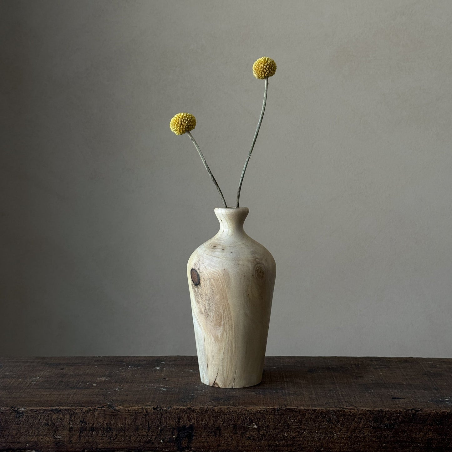 NEW - "In nature nothing is created, nothing is lost; everything is transformed" | Vase