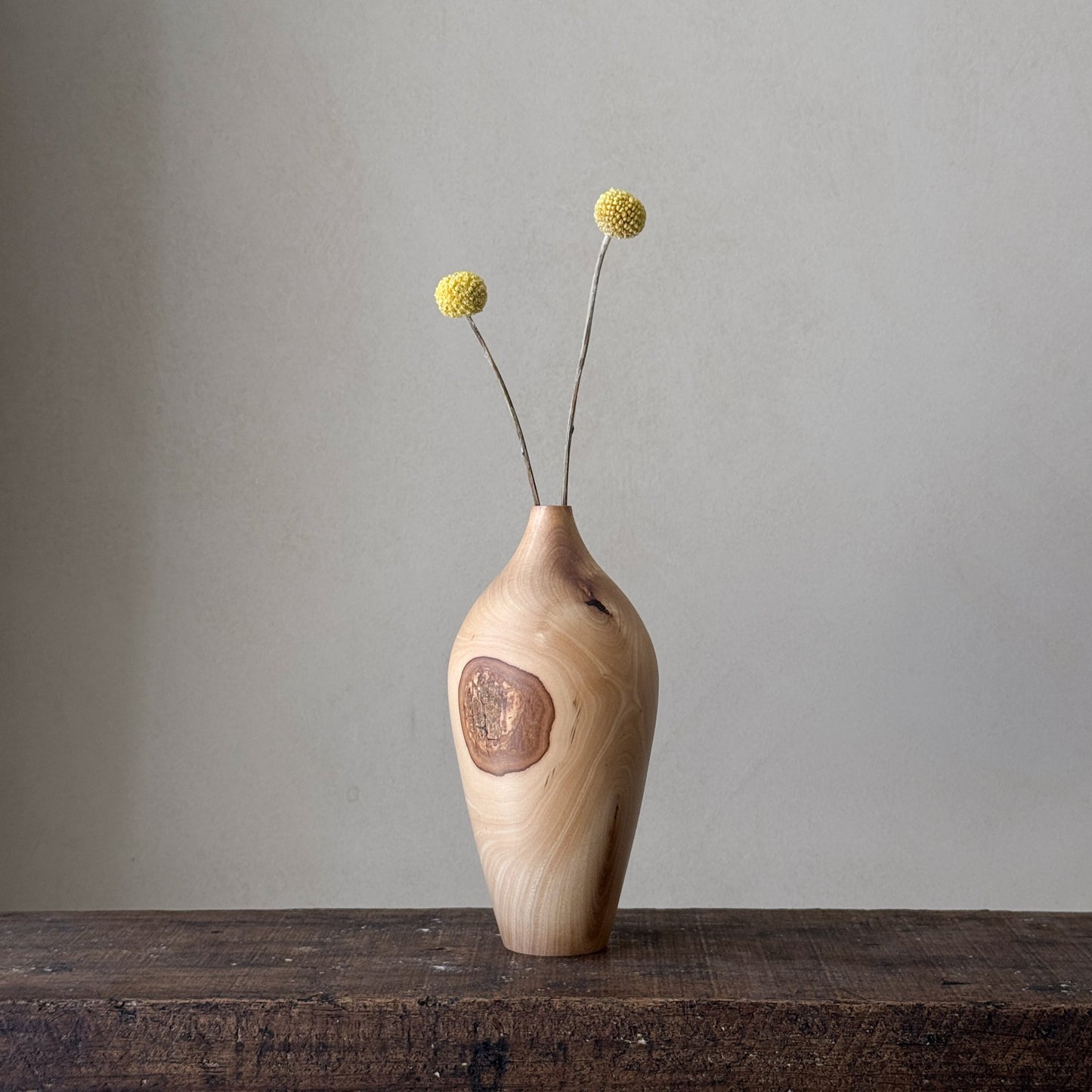 "In nature nothing is created, nothing is lost: everything is transformed | Vase